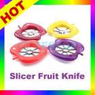 Fruit Apple Corer Slicer Knife Cutter Cut Dicing Chef