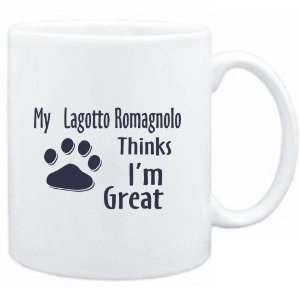    MY Lagotto Romagnolo THINKS I AM GREAT  Dogs