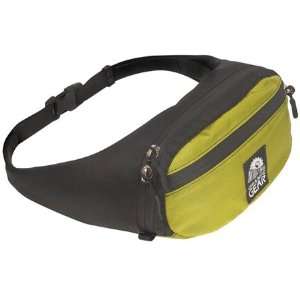  Wing Series Hip Pack Swift