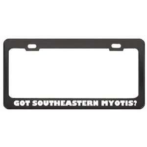 Got Southeastern Myotis? Animals Pets Black Metal License Plate Frame 