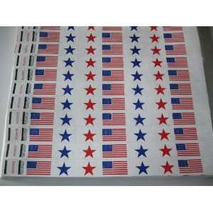  500 American Flag Consecutively Numbered Tyvek Wristbands 