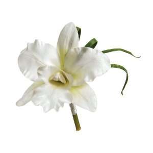 Cattleya Orchid Corsage White (Pack of 24)