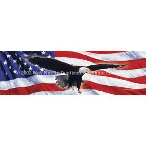   Graphics Window Graphic   16x54 Eagle in Flight Flag 