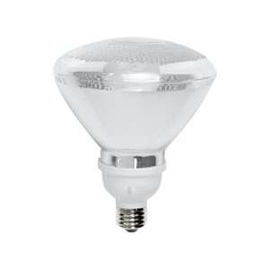   Watt PAR38 Compact Fluorescent 5000K Day Light Bulb: Home Improvement