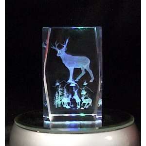 Deer Buck Laser Crystal Cube