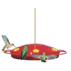  Perky Pet Hummingbird Oasis Feeder: Pet Supplies