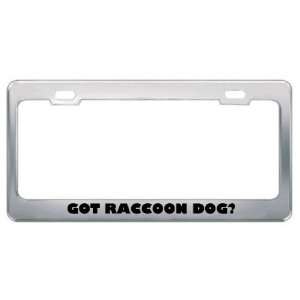 Got Raccoon Dog? Animals Pets Metal License Plate Frame Holder Border 