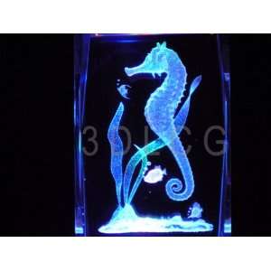  Sea Horse 3D Laser Etched Crystal T: Everything Else