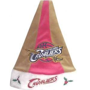    Cleveland Cavaliers Colorblock Santa Hat