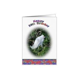    98th Birthday Card with Snowy Egret in Water Card: Toys & Games