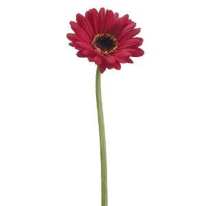  Faux 25 Gerbera Daisy Spray Red (Pack of 12): Beauty