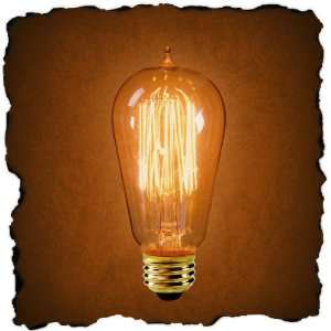 FerroWatt Light Bulb 1910N   40 Watt Light Bulb   1910 Antique Edison 