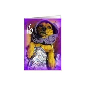  Pretty Dress Dog   16th Birthday Card Toys & Games