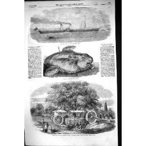 1855 Iona Steamer Ship Sunfish Cork Harbour Tree Barron Machine Regent 