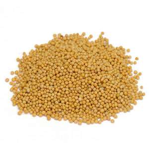 Mustard Seed Yellow Whole Sinapis alba 1 lb Bulk  