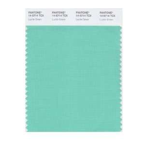  PANTONE SMART 14 5714X Color Swatch Card, Lucite Green 