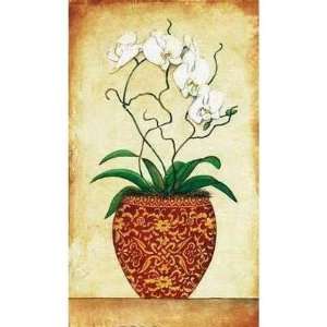  Multi Stem Orchid Poster Print
