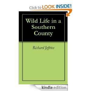   Life in a Southern County Richard Jeffries  Kindle Store