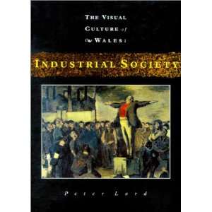   (The Visual Culture of Wales) (9780708314968) Peter Lord Books