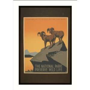   WPA Poster (M) The national parks preserve wild life