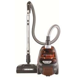 Electrolux EL4300A Ultra Active Bagless Canister Vacuum  Overstock 