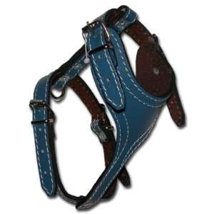  1 1/4 Blue Leather Harness   Large (Fits neck size 22 29 