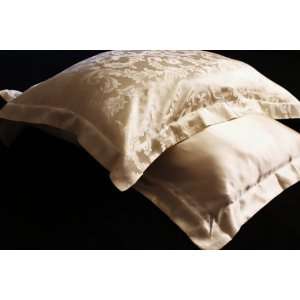  100% 19mm Mulberry Silk Two Ivory Pillow Shams QUEEN: Home 