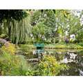  France   Monet gardens with bridge prominent Unframed Photo Print