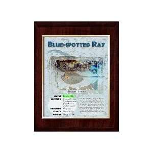 Marine (Blue Spotted Ray) Animal Planet Products 10 x 13 Plaque with 