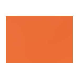  Turner Acryl Gouache Artist Colour 20 ml Tube   Apricot 