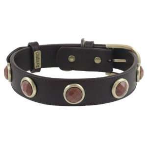  Pebble Gold Sandstone Dog Collar