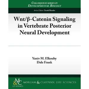  Wnt/ Catenin Signaling in Vertebrate Posterior Neural 