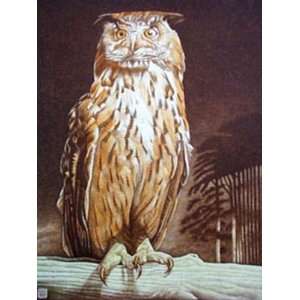 Turkmenian Owl Etching Mackay, Alex Animals, Dogs Birds Engraving 