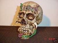 Skull Hand Sculpted/Painted by LTD Brand New!  