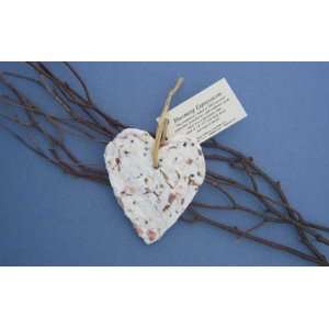   Ornament Heart plant in 1/4 inch to 1/2 inch soil 