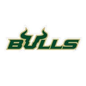  South Florida Bulls Car Magnet