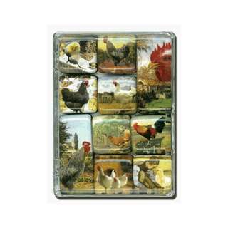    Here Chick Mighty Magnets Set of 10 magnets