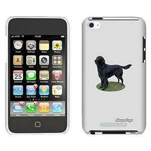  Flat Coated Retriever on iPod Touch 4 Gumdrop Air Shell 
