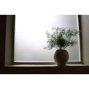 Ikea Amorf Frost   Window Frosting Treatment:  Home 