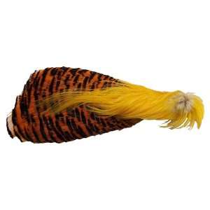  Golden Pheasant Neck
