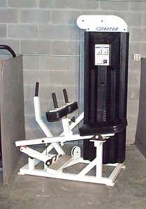 Quantum Fitness Commercial Calf Raise Machine with weight stack  