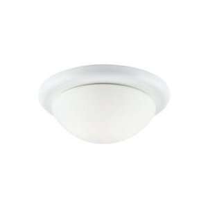  White Ceiling Lighting 12 W Sea Gull Lighting 53070 15 