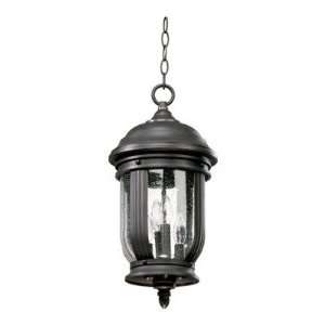   7184 4 95 Summit Hanging Lantern in Old World Size 29.5 H x 13.5 W