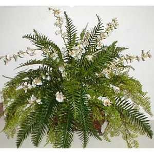  Silk Fern and Oncidium Orchid Planter Arrangement