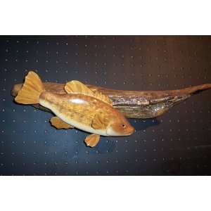   Hand Carved Fish Wood Art on Driftwood Wall Hanging
