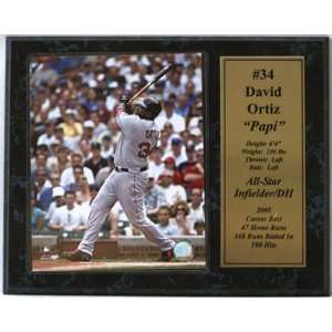 David Ortiz Boston Red Sox Photograph with Statistics Nested on a 12 