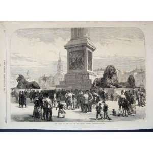  1867 Lions Nelson Column Trafalgar Square Dog Old Print 