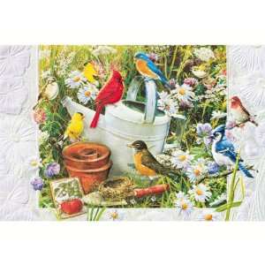   Garden Bday   Everyday Greeting Cards. Pack of 6: Everything Else