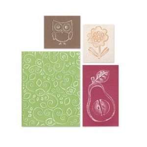  Sizzix Embossing Folders   Flower, Owl and Pear Set: Home 