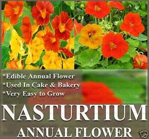 NASTURTIUM ~~ BULK 10   100 Flower Seeds ~Edible&Decor~  
